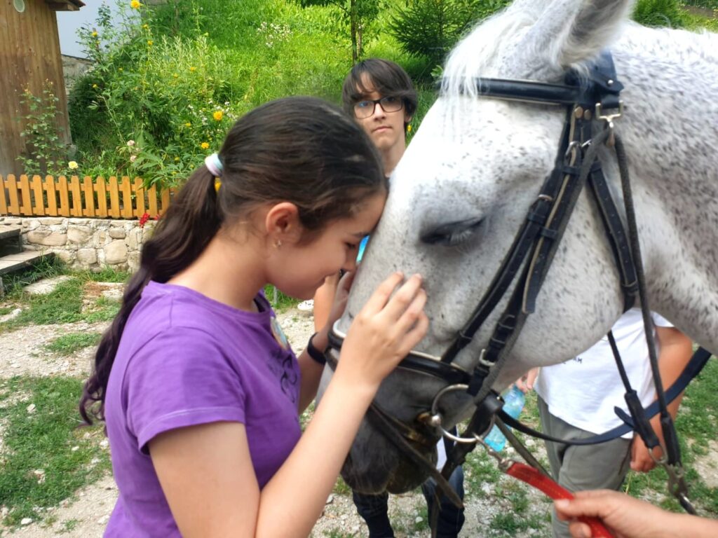 Planuri pentru vară