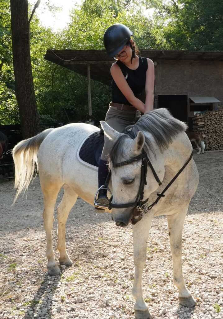 Planuri pentru vară