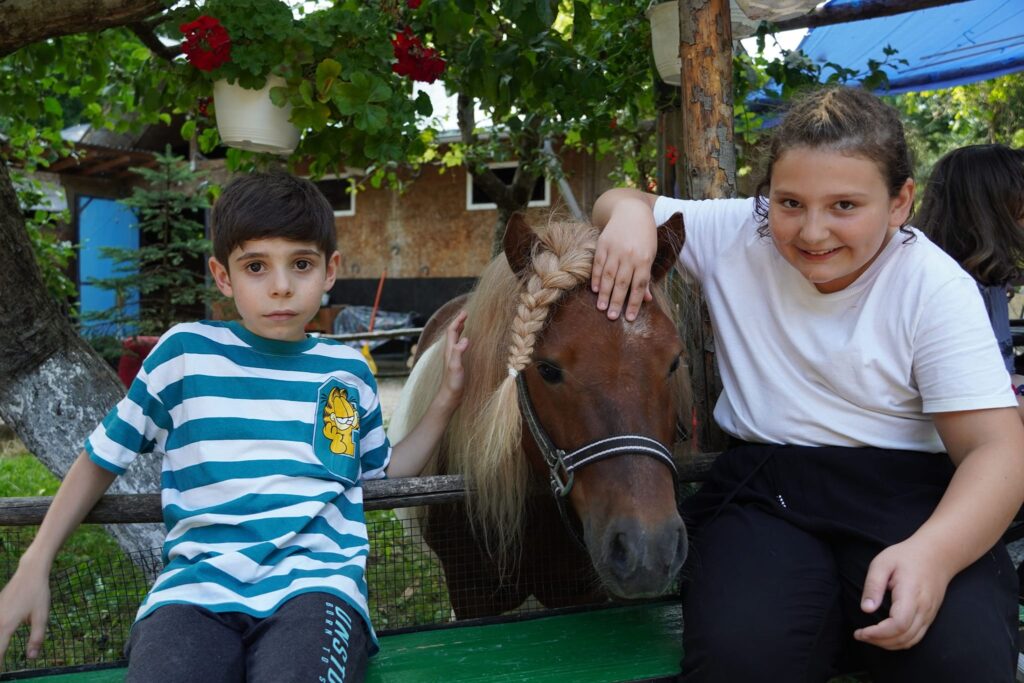 Planuri pentru vară