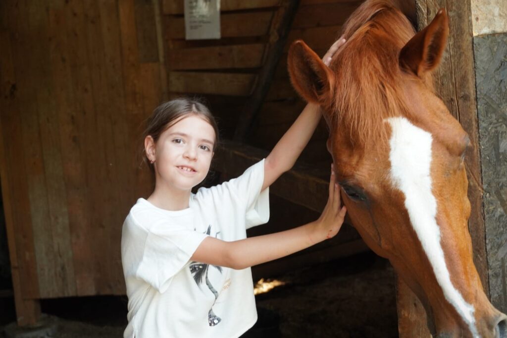 Planuri pentru vară