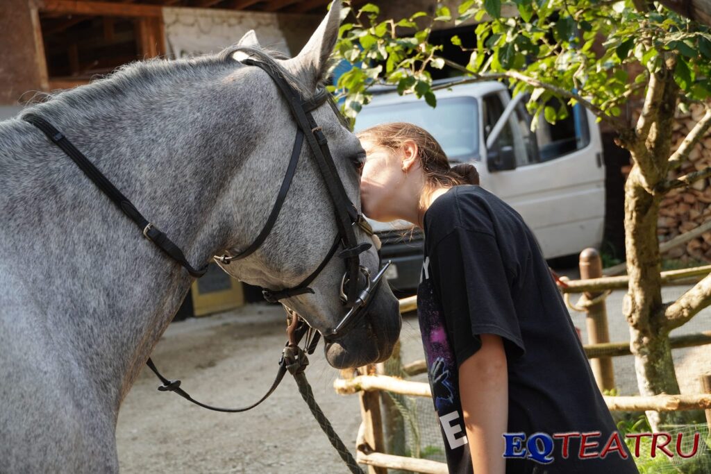 Planuri pentru vară